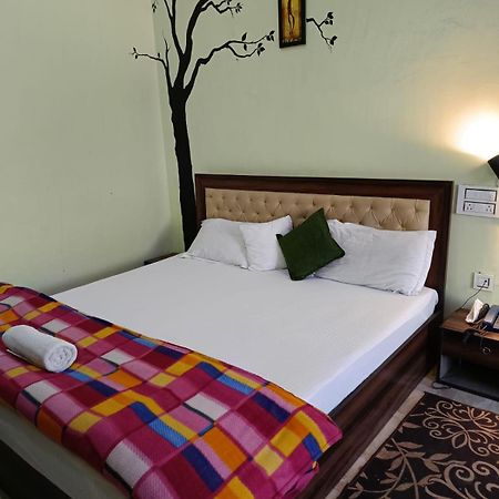 Joshi Holiday Home Stay 兰斯顿 外观 照片