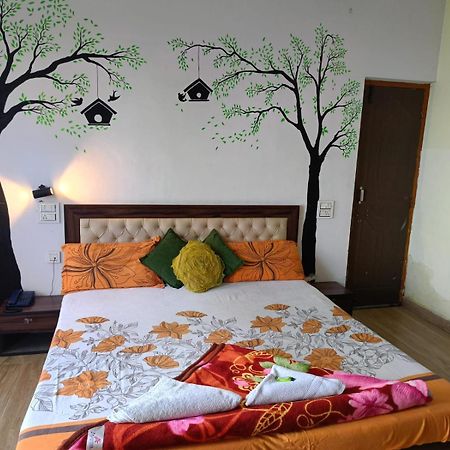 Joshi Holiday Home Stay 兰斯顿 外观 照片