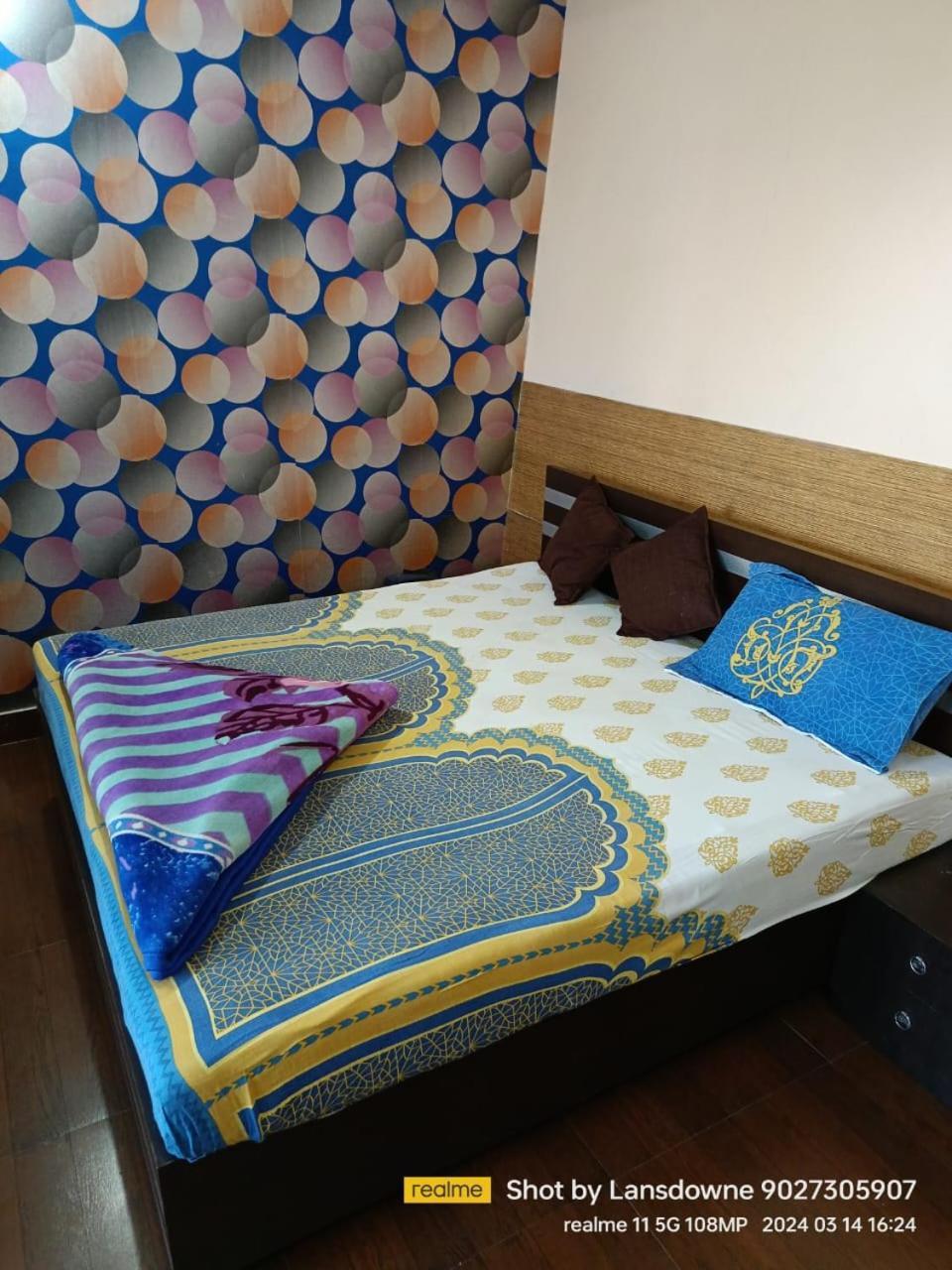 Joshi Holiday Home Stay 兰斯顿 外观 照片