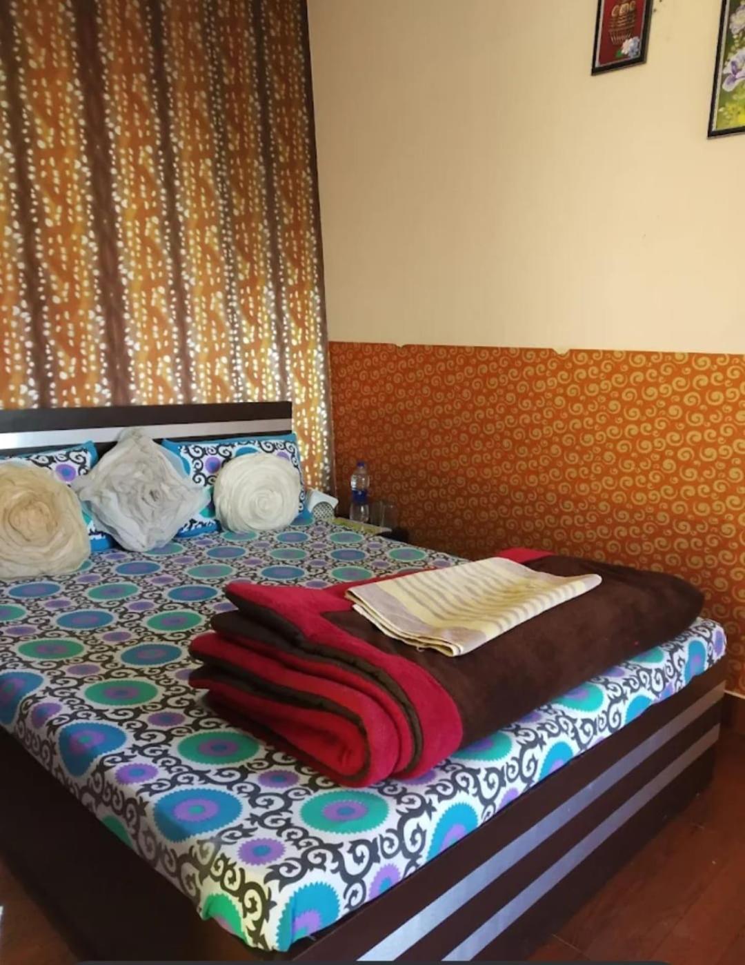 Joshi Holiday Home Stay 兰斯顿 外观 照片