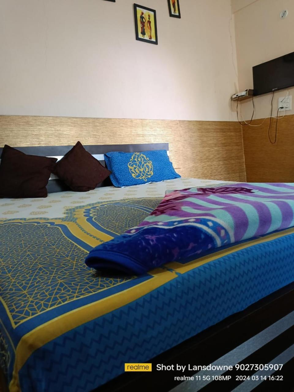 Joshi Holiday Home Stay 兰斯顿 外观 照片
