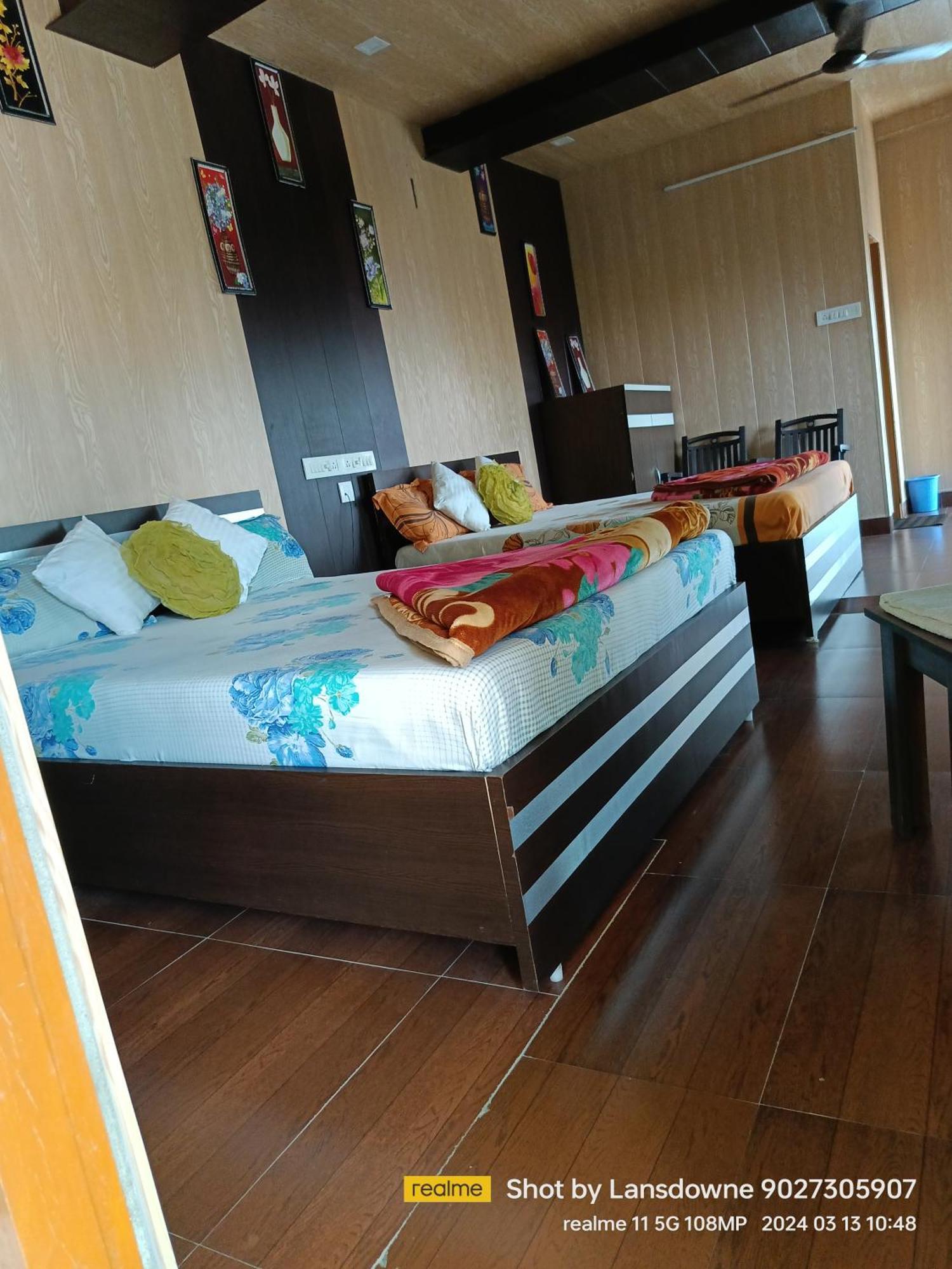 Joshi Holiday Home Stay 兰斯顿 外观 照片