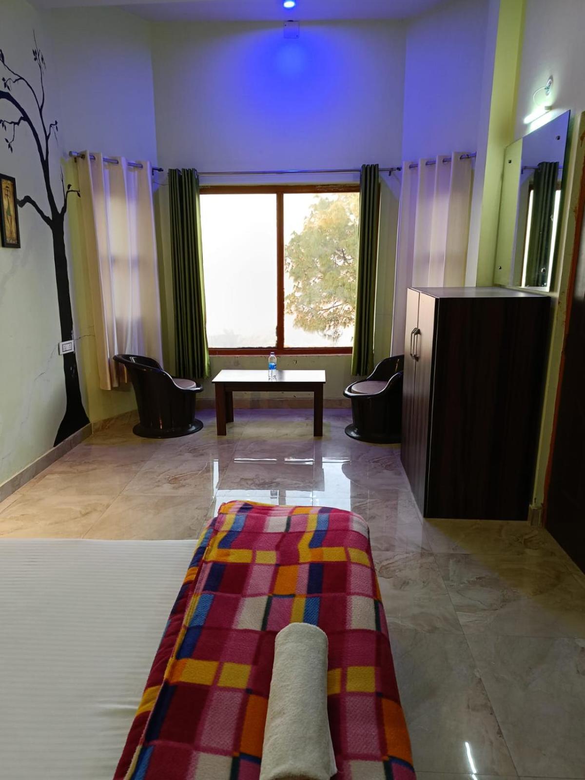 Joshi Holiday Home Stay 兰斯顿 外观 照片